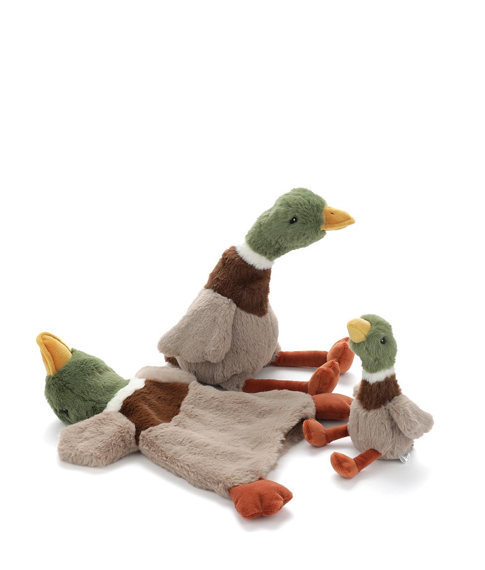 Hugo the Mallard Duck