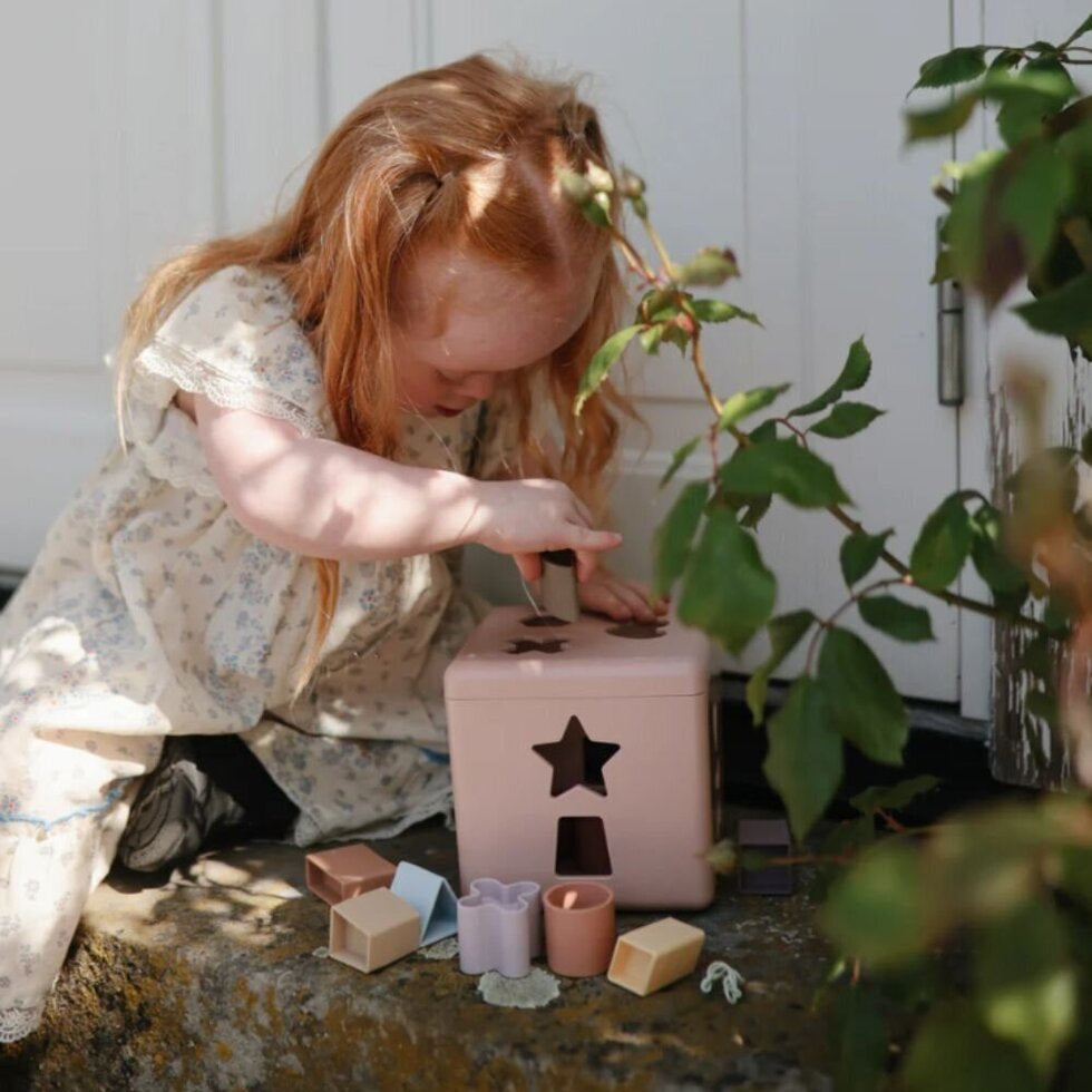 Shape Sorting Box - Petal