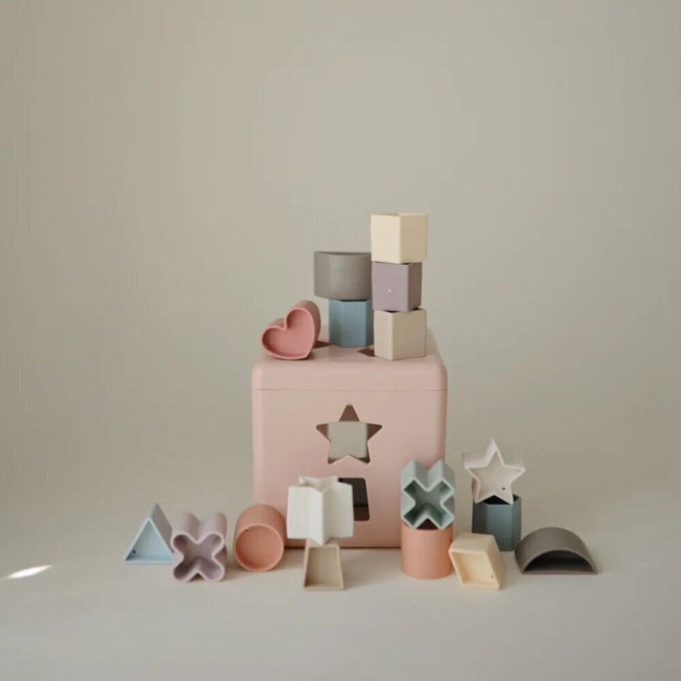 Shape Sorting Box - Petal