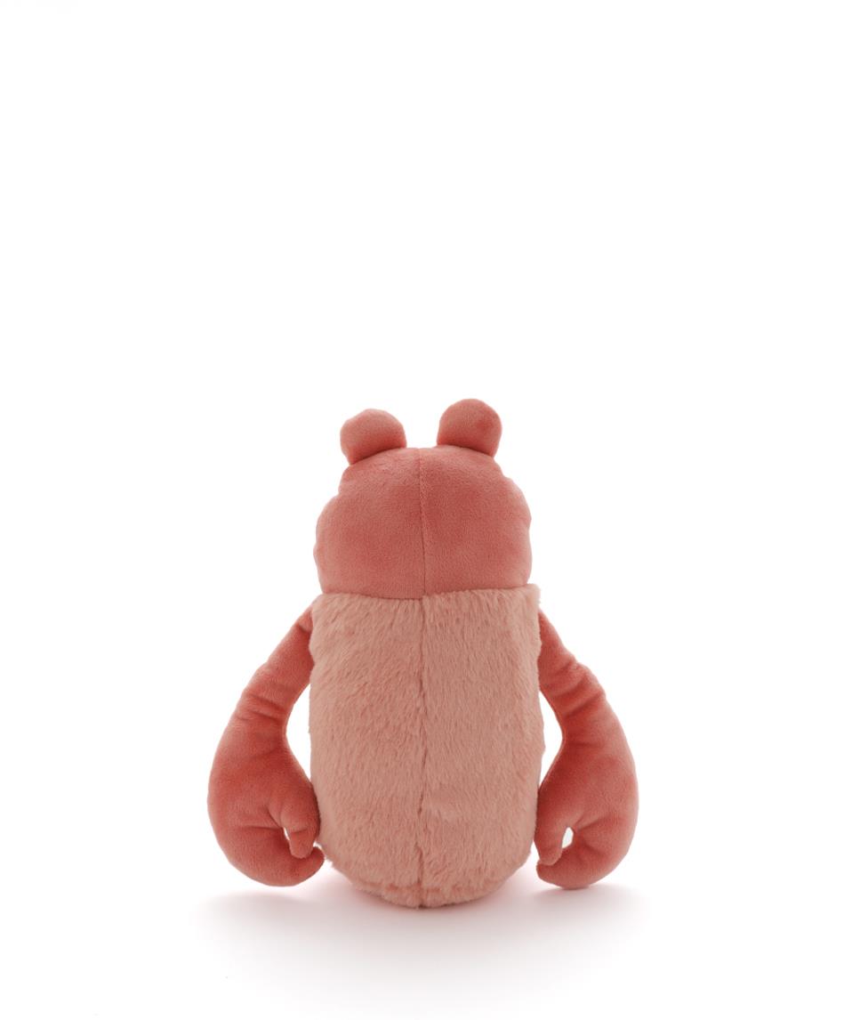 Craig the Crayfish