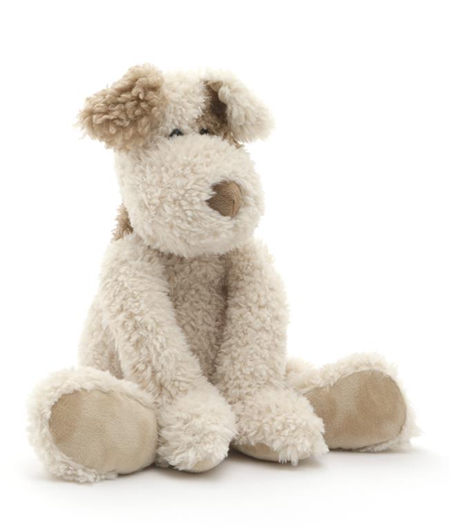 Buddy the Dog