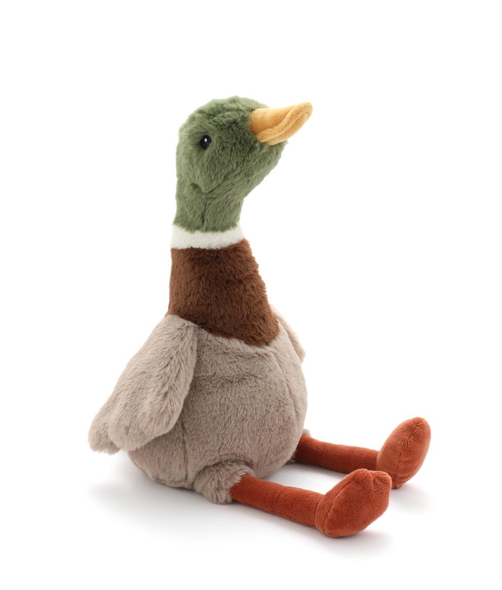 Hugo the Mallard Duck