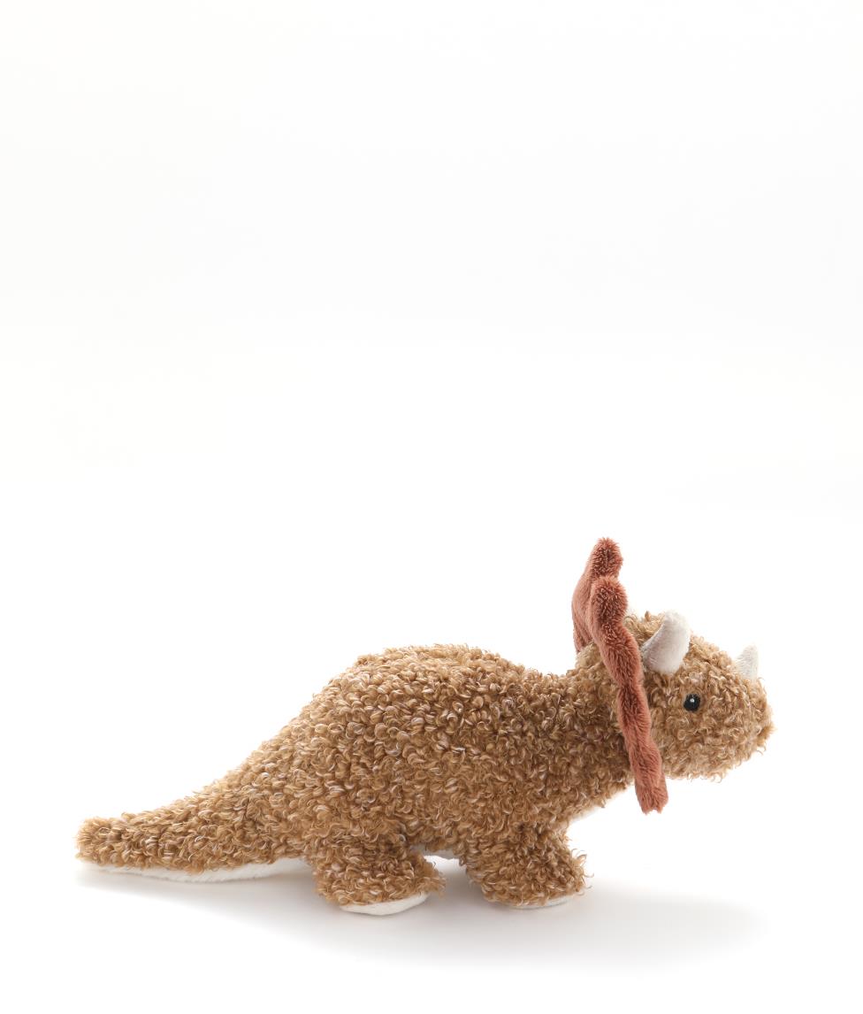 Baby Thomas the Triceratops