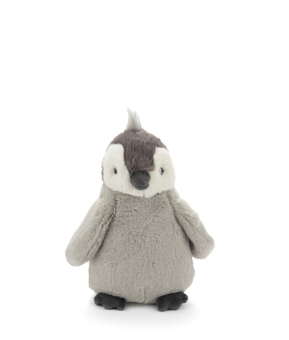 Paulo the Penguin