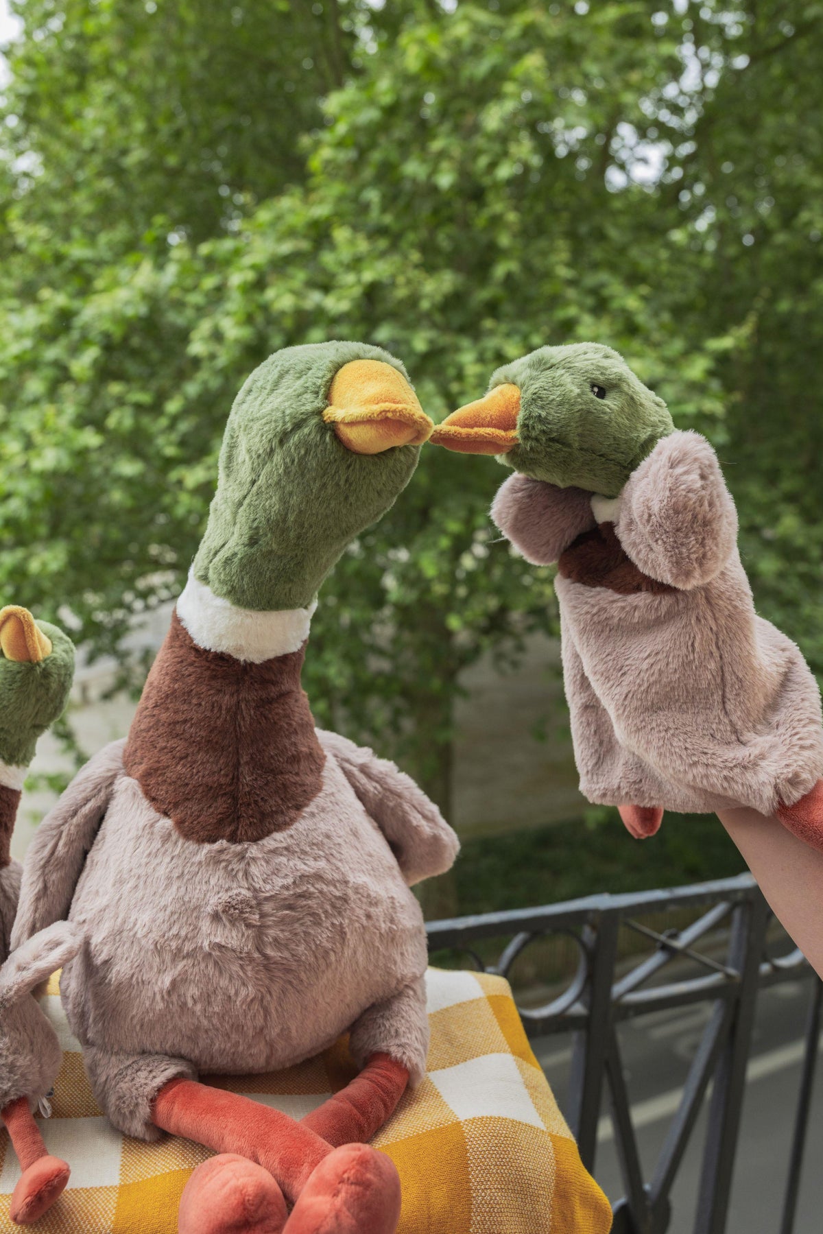 Hugo the Mallard Duck Hoochy Coochie