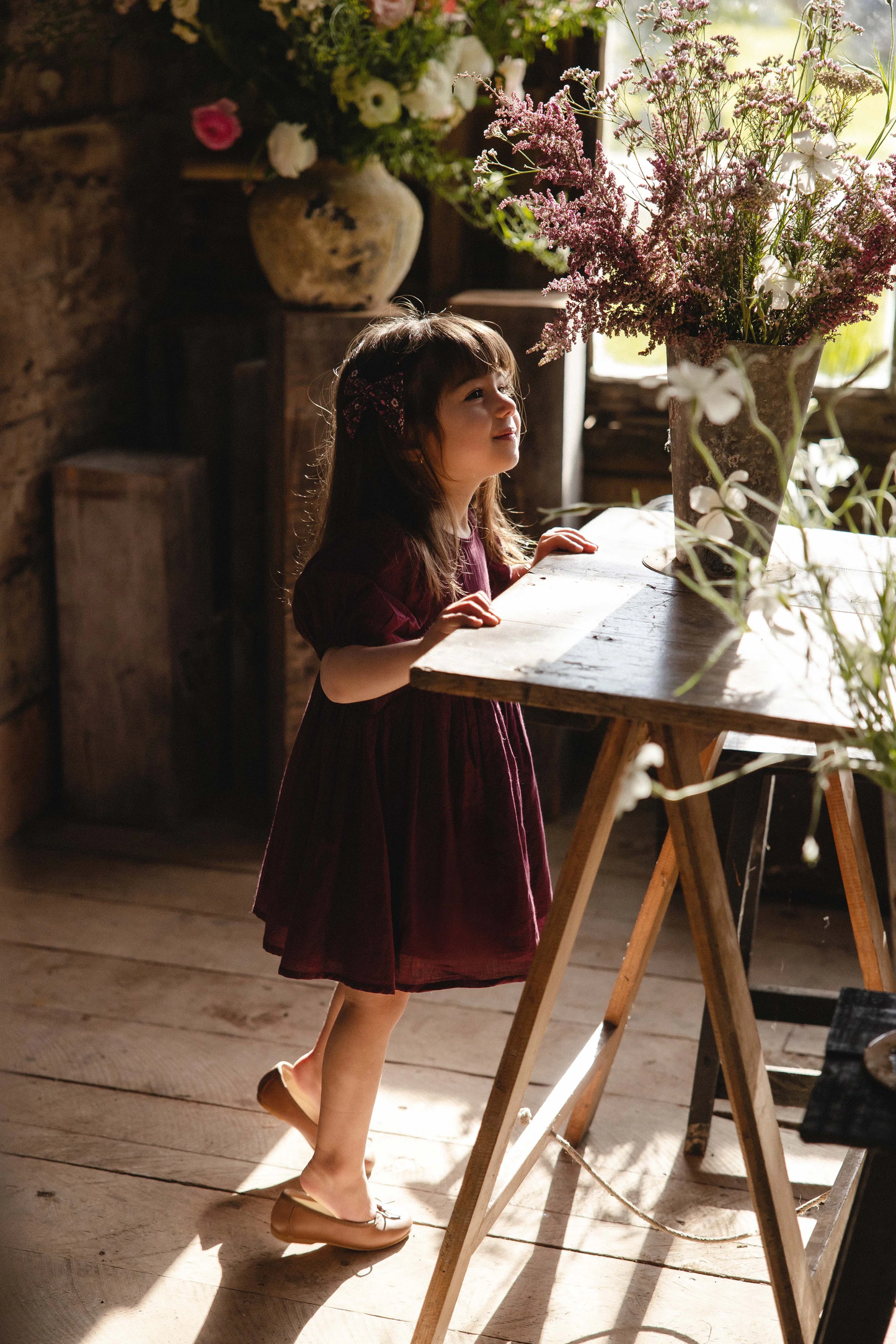 Organic Cotton Frannie Dress - Fig