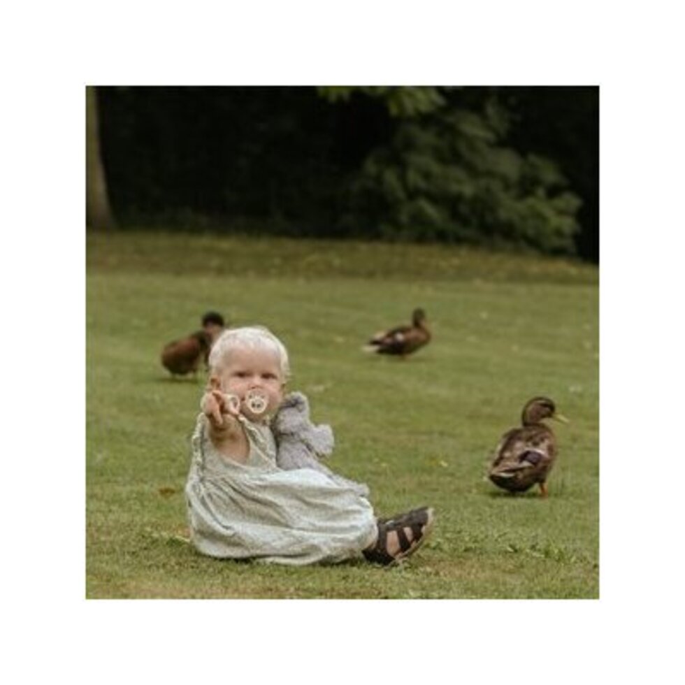 FRIGG 6-Pack Pacifiers Silicone Blooming Love