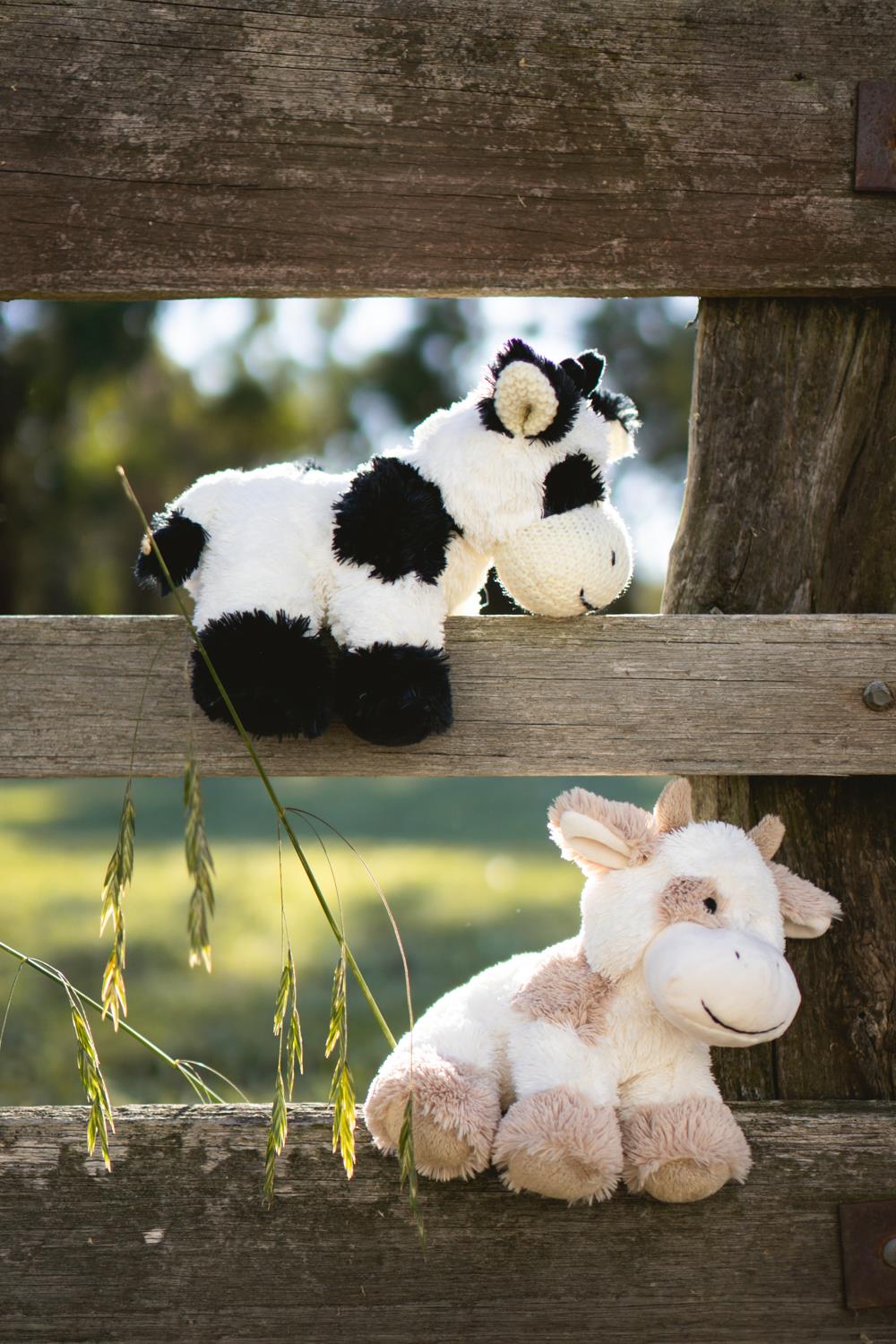 Coco the Cow Cream