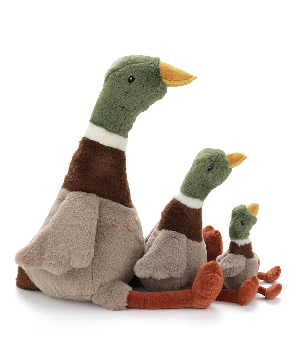 Hugo the Mallard Duck